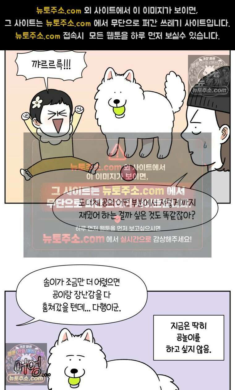 극한견주 시즌2 39화 개와 아기의 공통점(2) 12