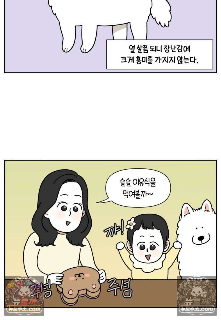 극한견주 시즌2 39화 개와 아기의 공통점(2) 13