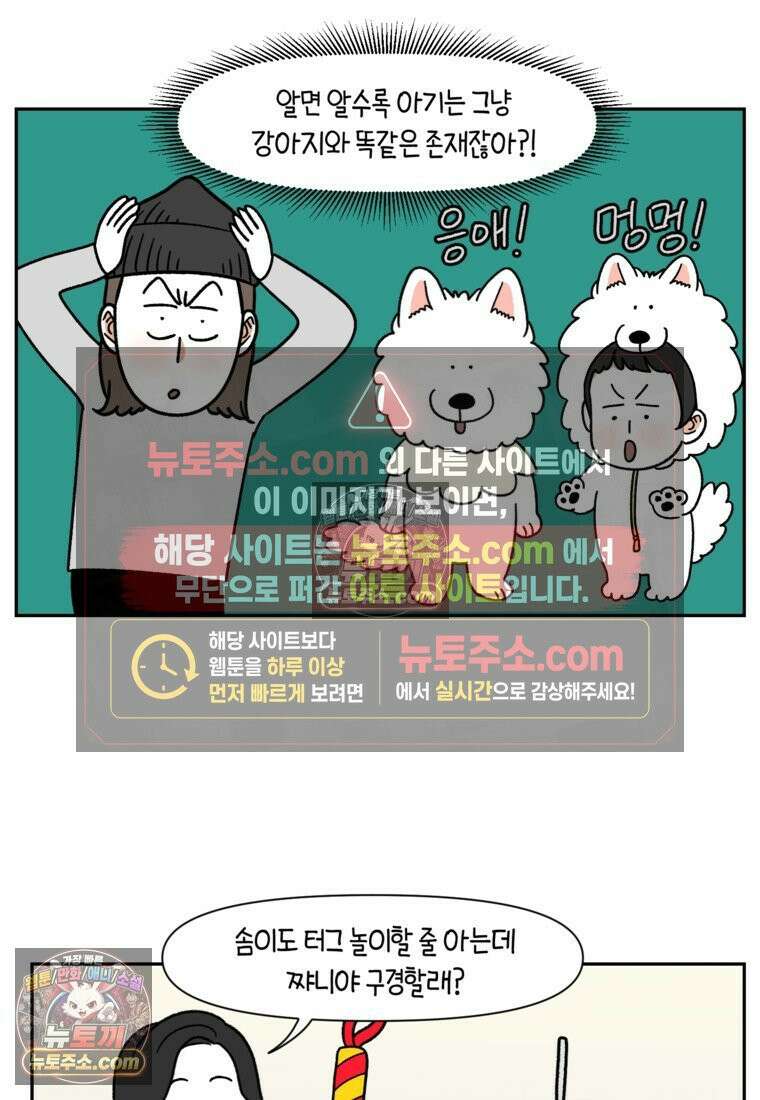 극한견주 시즌2 39화 개와 아기의 공통점(2) 17