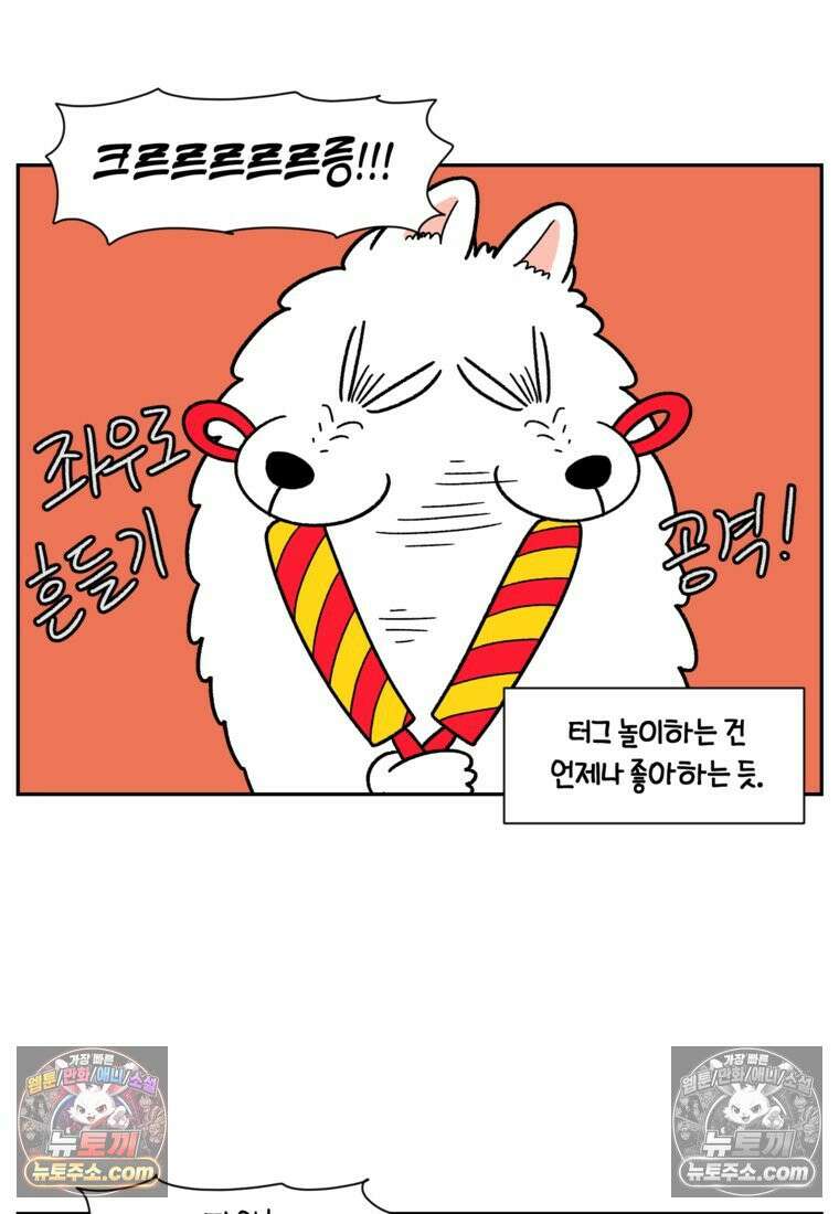 극한견주 시즌2 39화 개와 아기의 공통점(2) 20