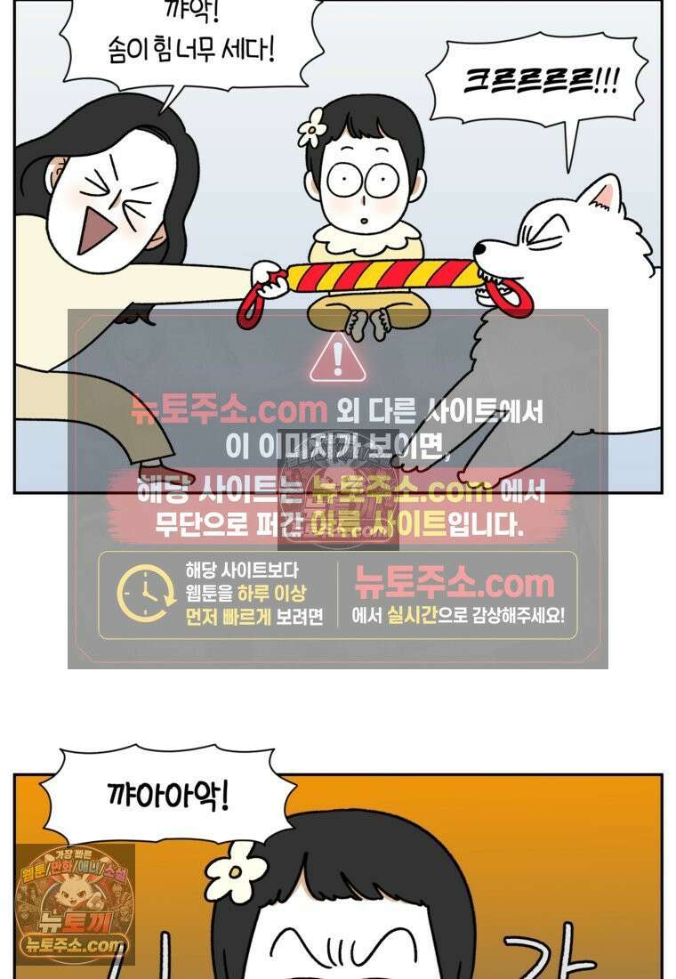 극한견주 시즌2 39화 개와 아기의 공통점(2) 21