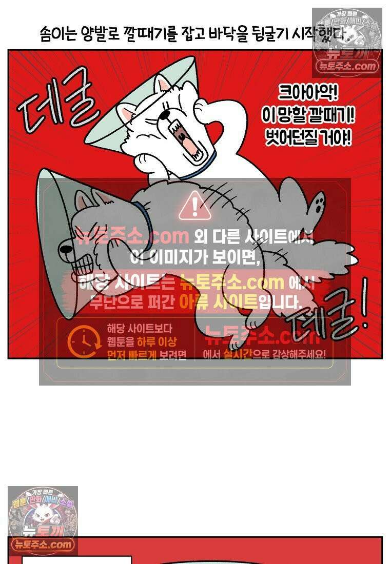 극한견주 시즌2 44화 눈병 치료(3) 2