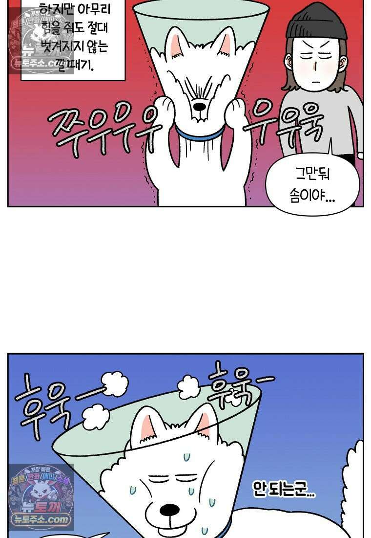 극한견주 시즌2 44화 눈병 치료(3) 3