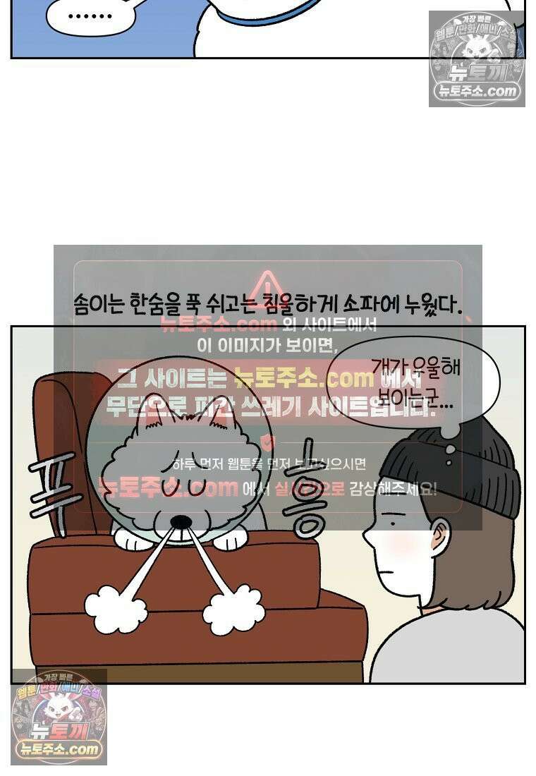 극한견주 시즌2 44화 눈병 치료(3) 4