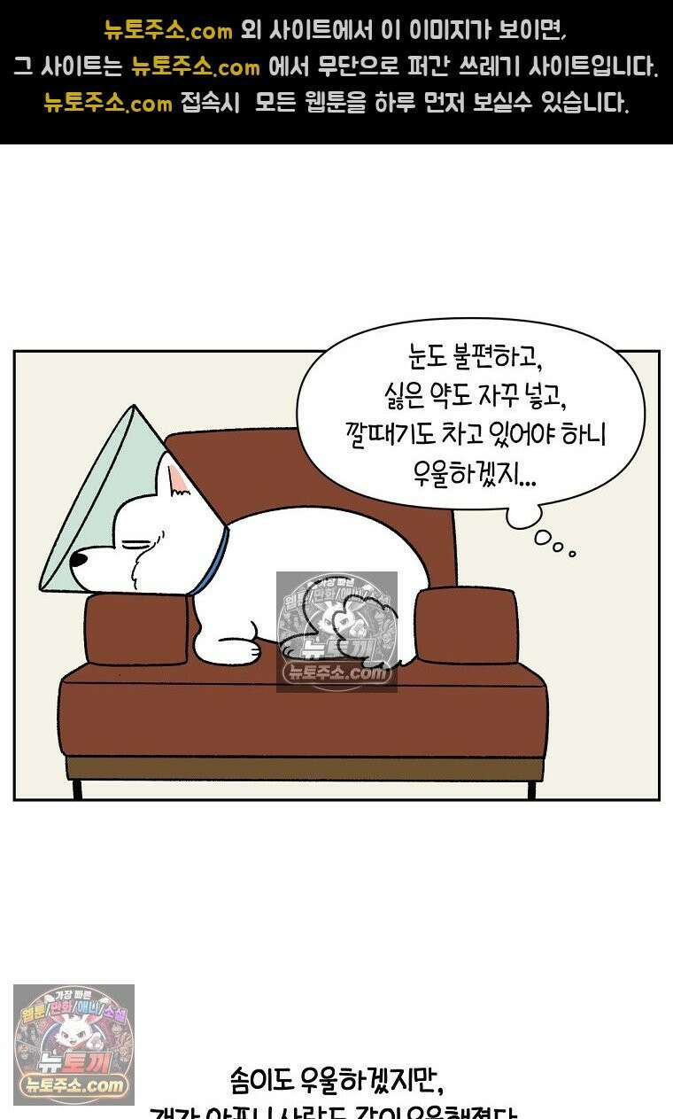 극한견주 시즌2 44화 눈병 치료(3) 5