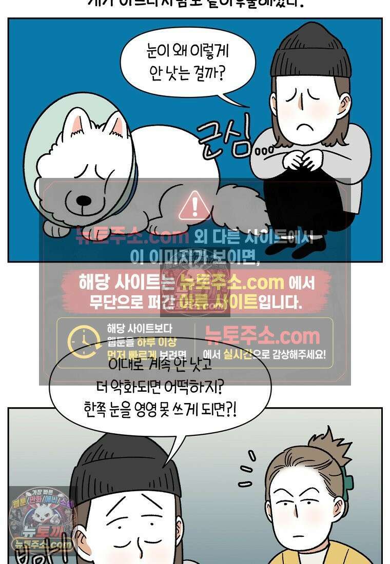 극한견주 시즌2 44화 눈병 치료(3) 6