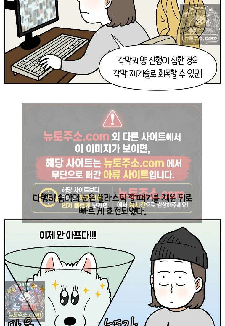 극한견주 시즌2 44화 눈병 치료(3) 9