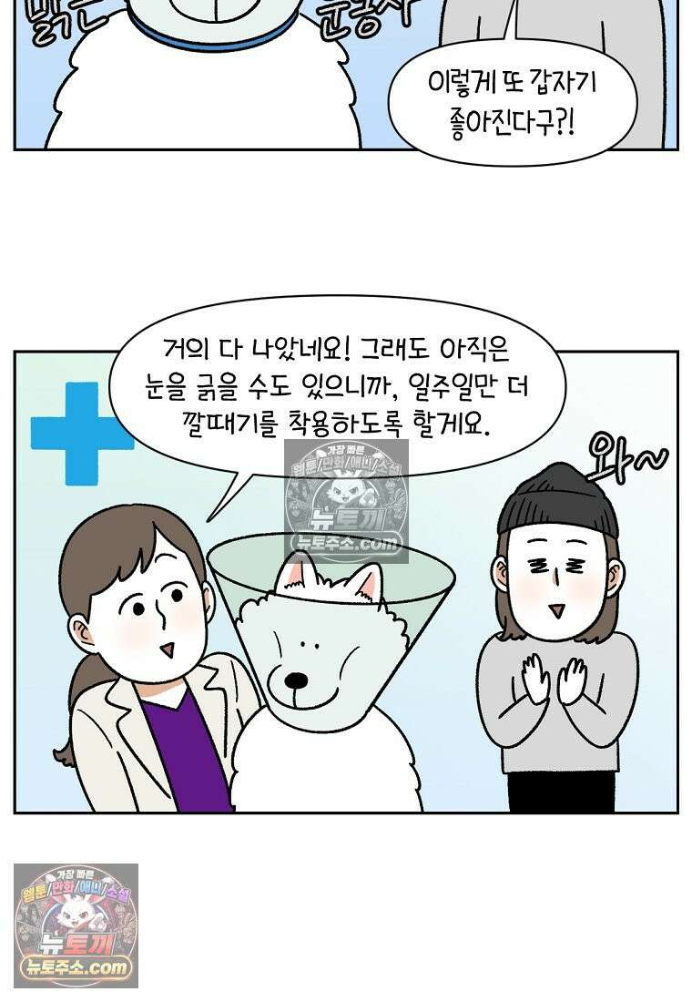 극한견주 시즌2 44화 눈병 치료(3) 10