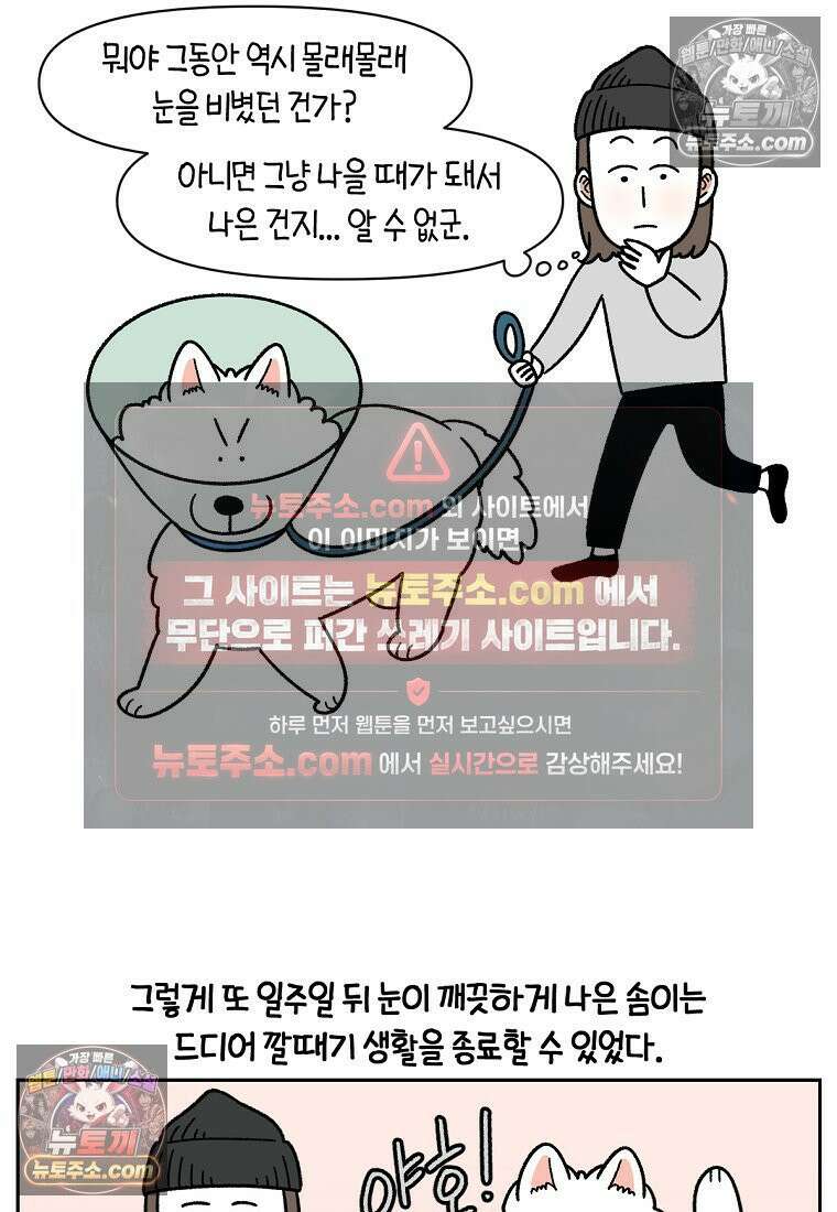 극한견주 시즌2 44화 눈병 치료(3) 11