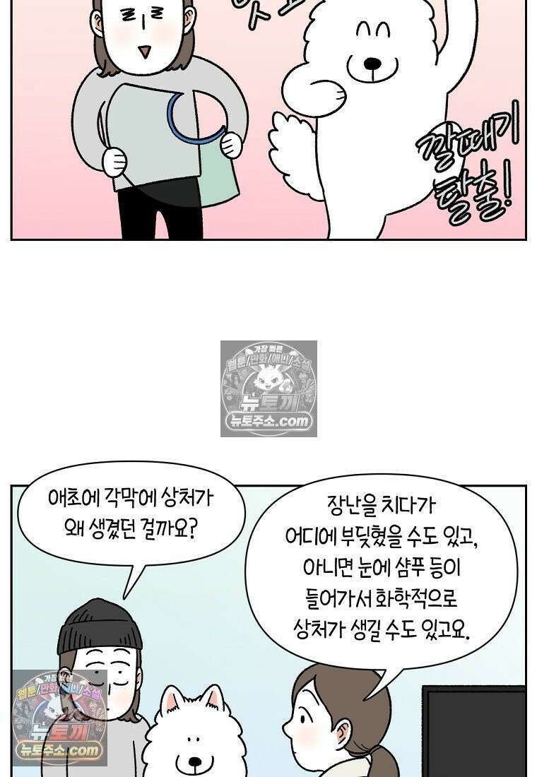 극한견주 시즌2 44화 눈병 치료(3) 12