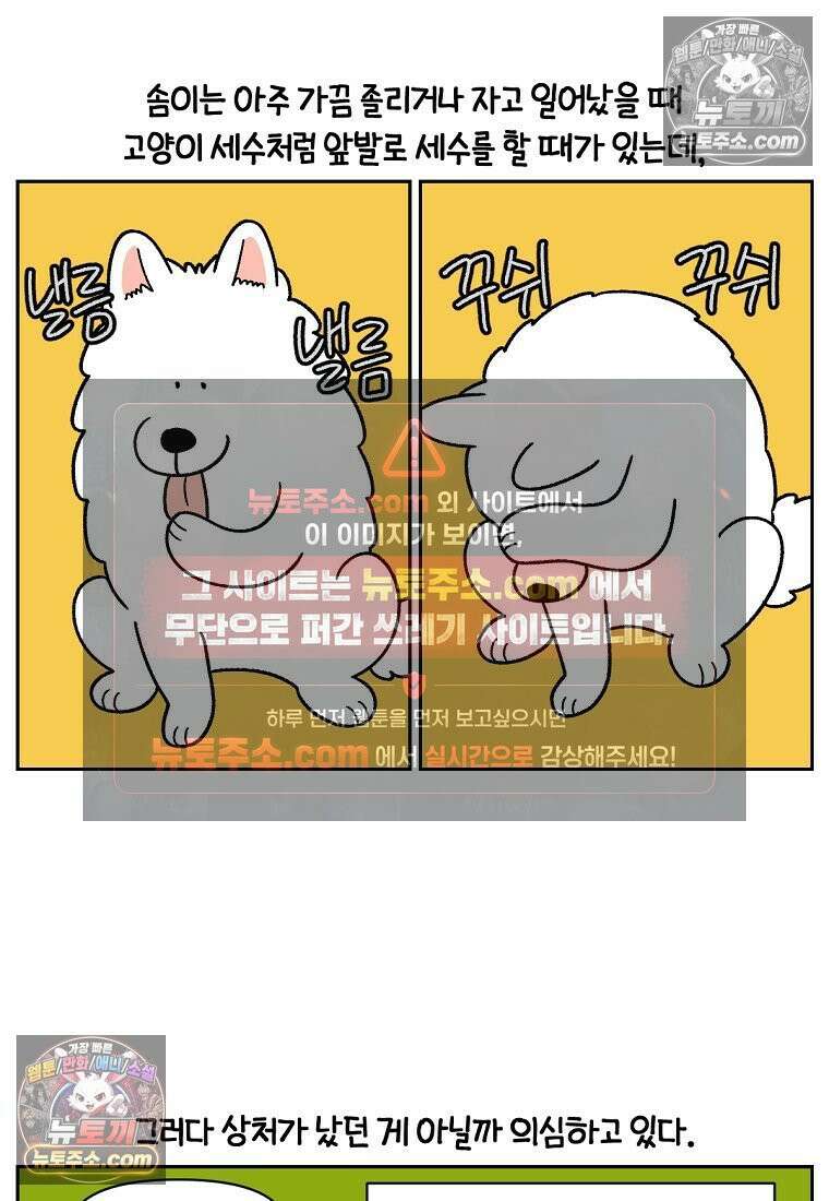 극한견주 시즌2 44화 눈병 치료(3) 14