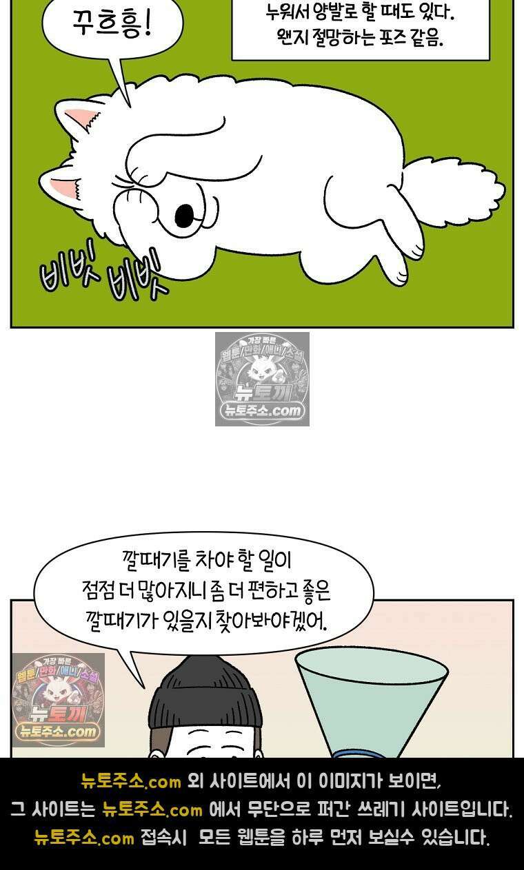 극한견주 시즌2 44화 눈병 치료(3) 15