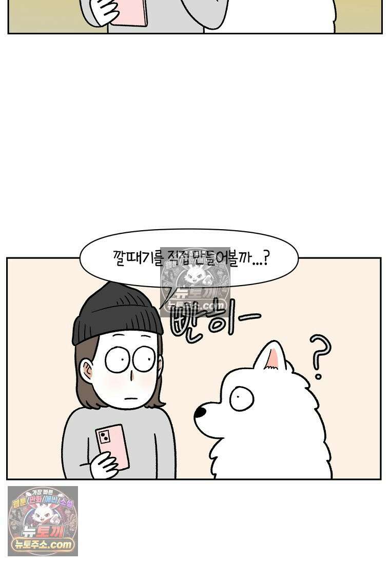 극한견주 시즌2 44화 눈병 치료(3) 19