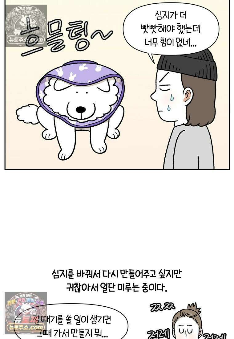 극한견주 시즌2 44화 눈병 치료(3) 24