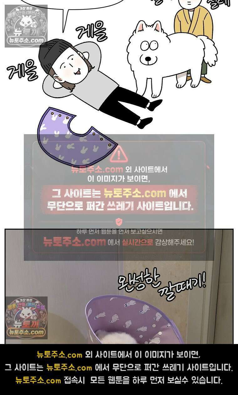 극한견주 시즌2 44화 눈병 치료(3) 25