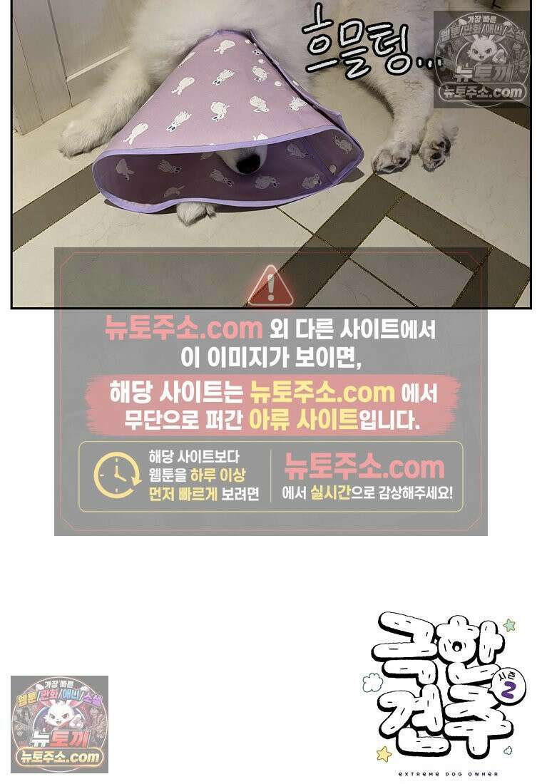 극한견주 시즌2 44화 눈병 치료(3) 27