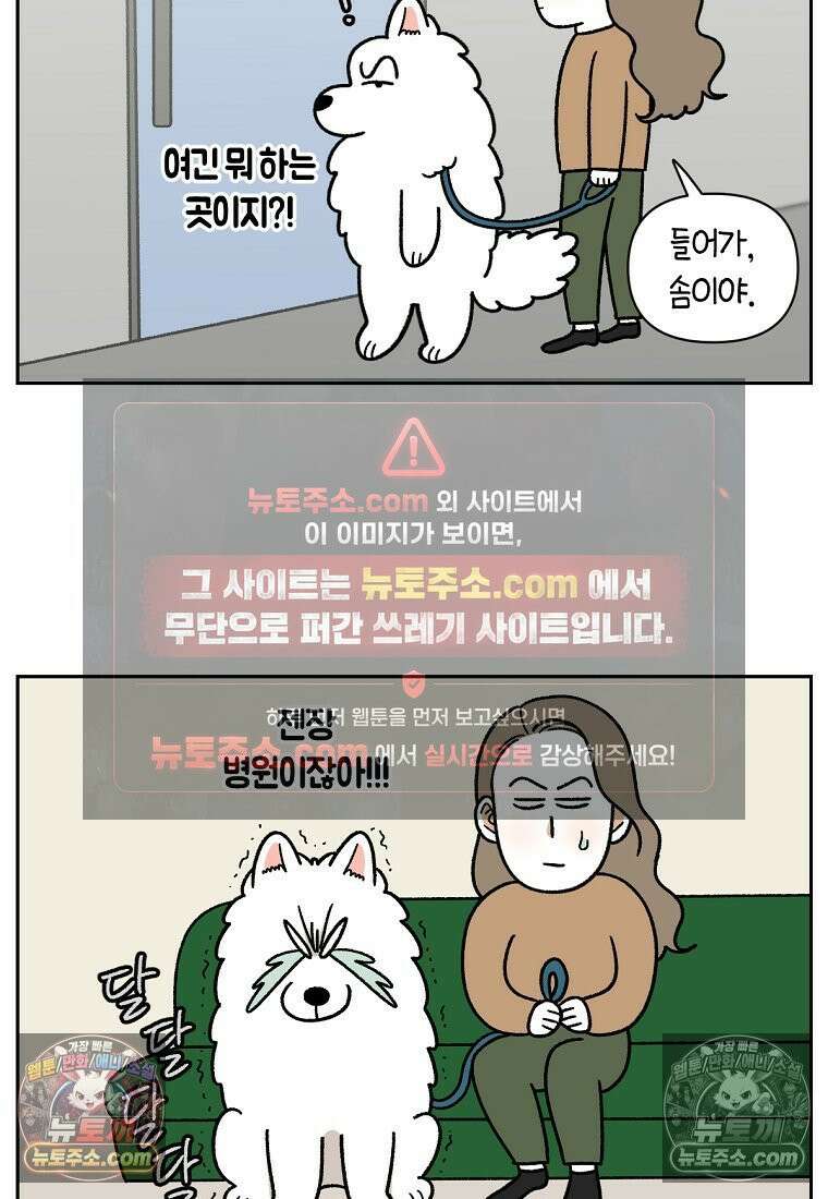 극한견주 시즌2 53화 빡빡이 미용 4