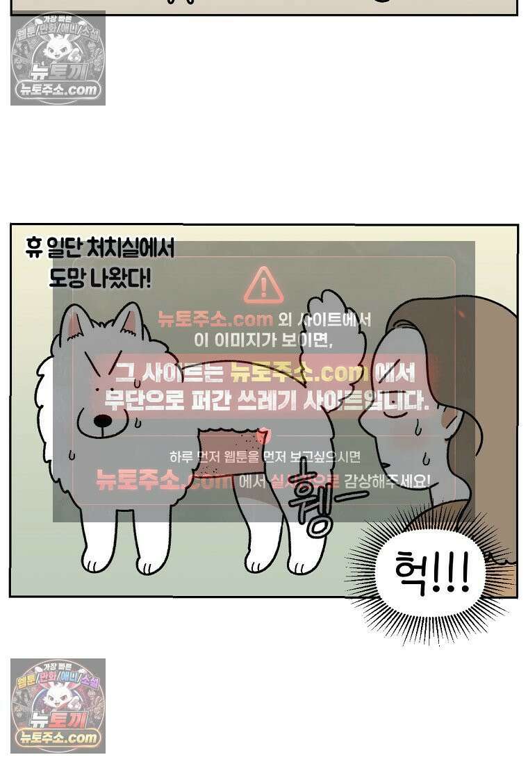 극한견주 시즌2 53화 빡빡이 미용 10