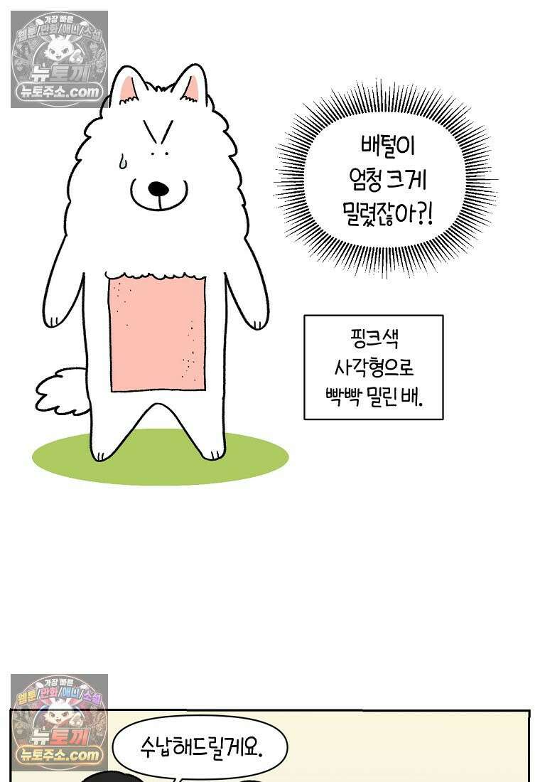극한견주 시즌2 53화 빡빡이 미용 11