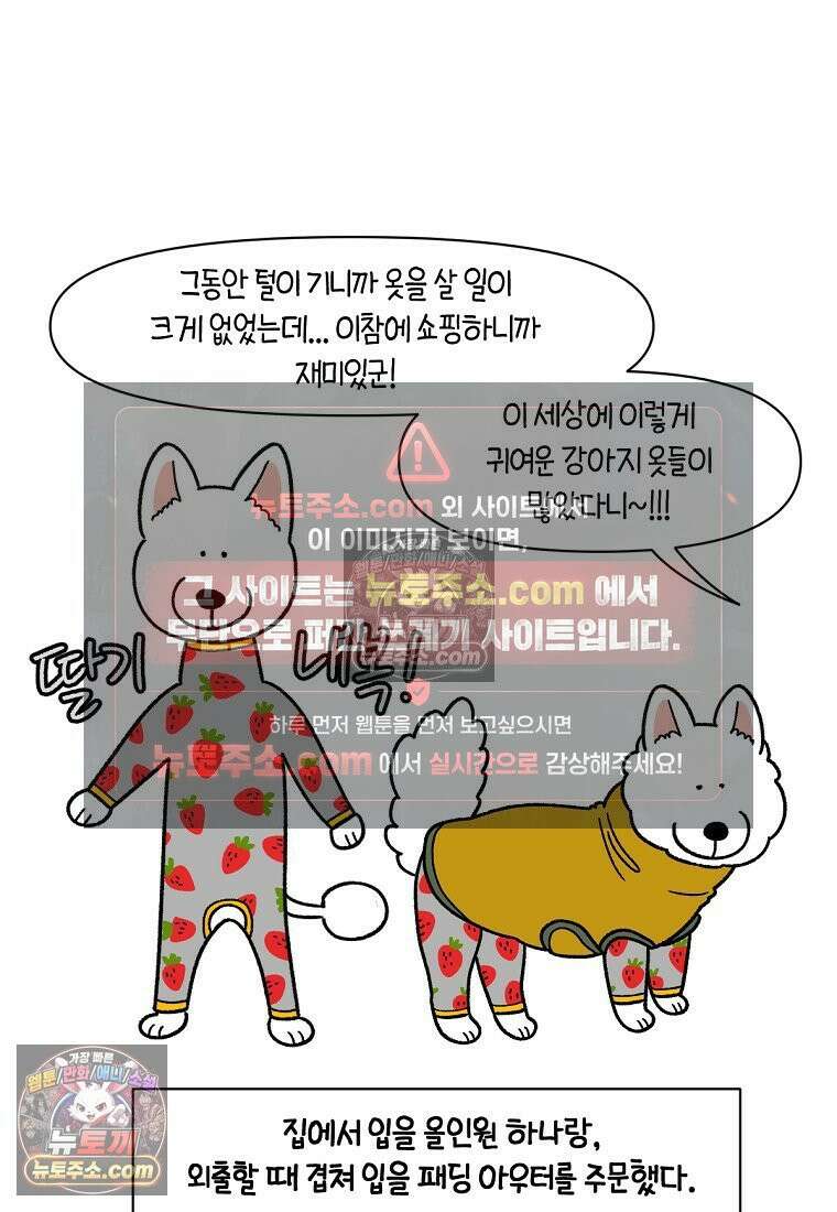 극한견주 시즌2 53화 빡빡이 미용 17
