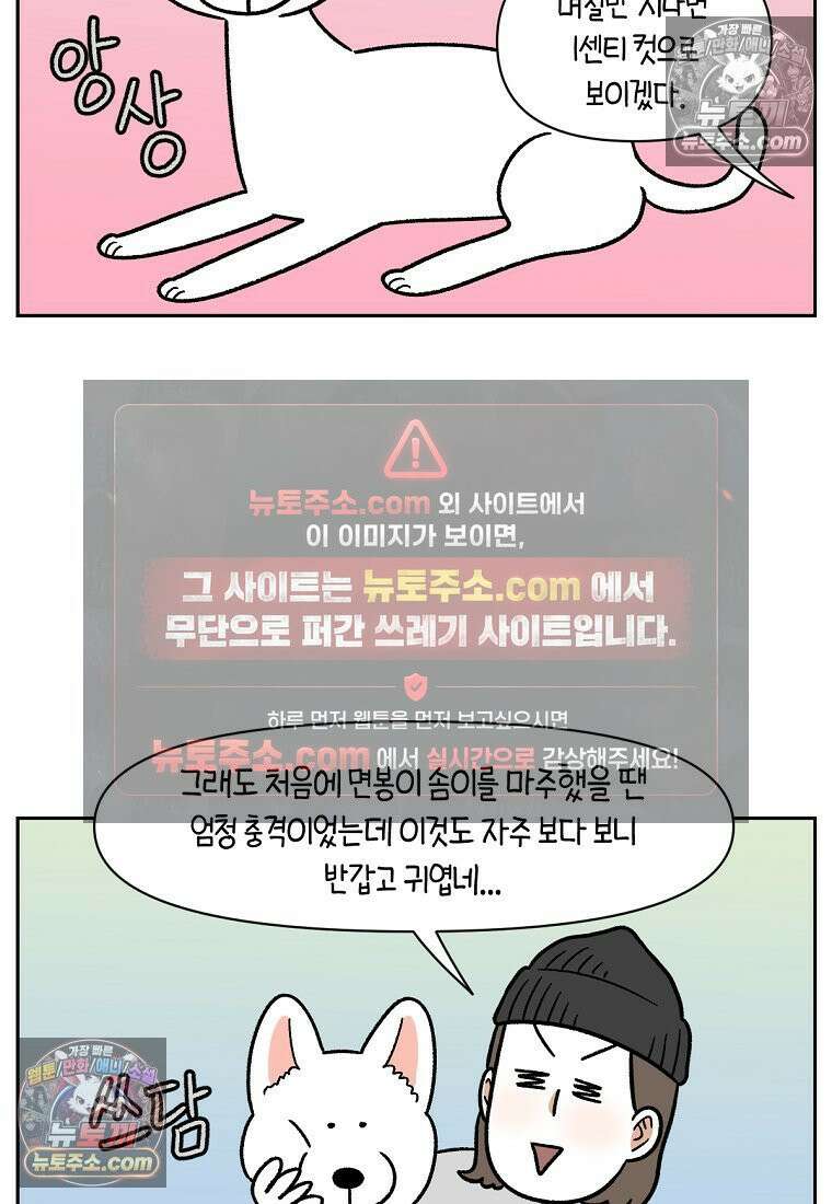 극한견주 시즌2 53화 빡빡이 미용 23