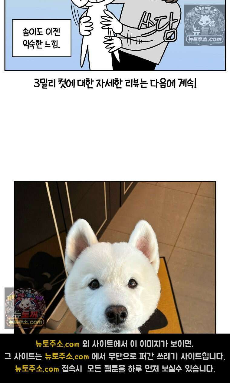 극한견주 시즌2 53화 빡빡이 미용 24