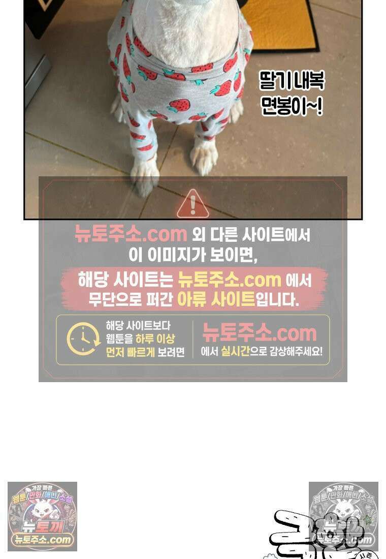 극한견주 시즌2 53화 빡빡이 미용 25