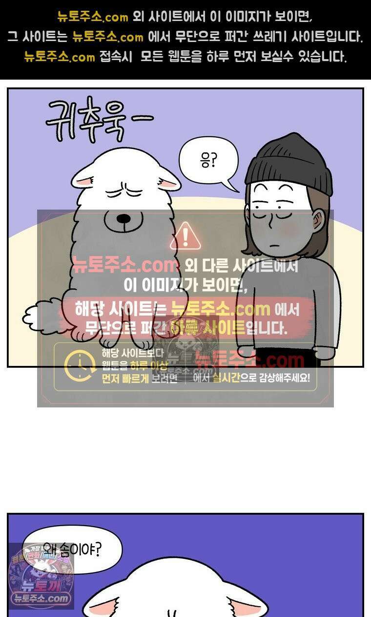 극한견주 시즌2 71화 천둥번개가 무서운 개 2