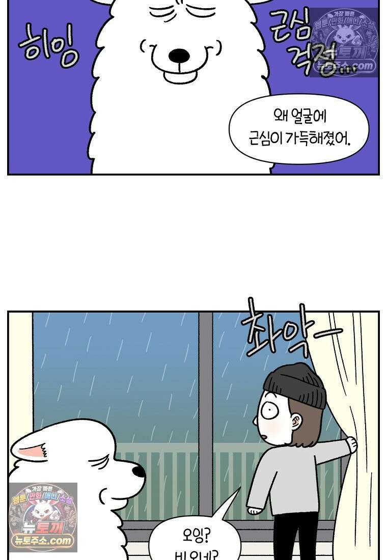 극한견주 시즌2 71화 천둥번개가 무서운 개 3