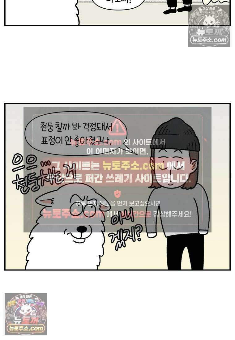극한견주 시즌2 71화 천둥번개가 무서운 개 4