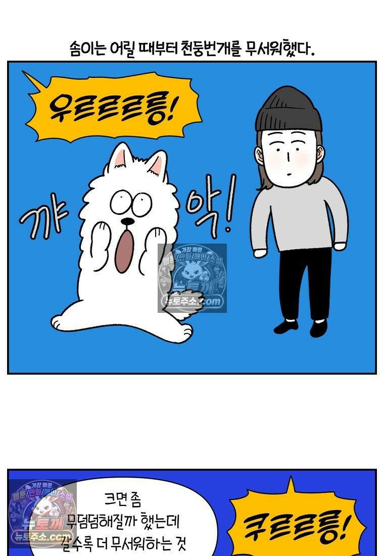 극한견주 시즌2 71화 천둥번개가 무서운 개 5
