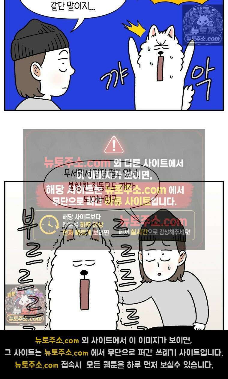 극한견주 시즌2 71화 천둥번개가 무서운 개 6