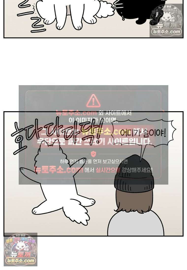 극한견주 시즌2 71화 천둥번개가 무서운 개 7