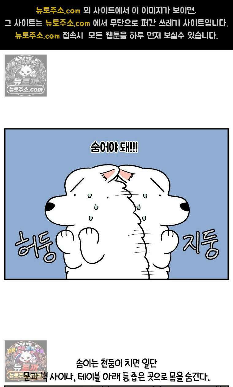 극한견주 시즌2 71화 천둥번개가 무서운 개 8