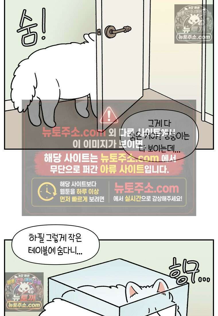 극한견주 시즌2 71화 천둥번개가 무서운 개 9