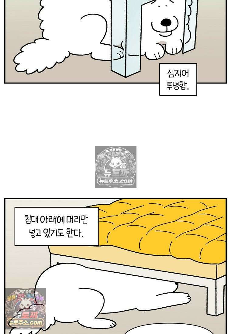 극한견주 시즌2 71화 천둥번개가 무서운 개 10