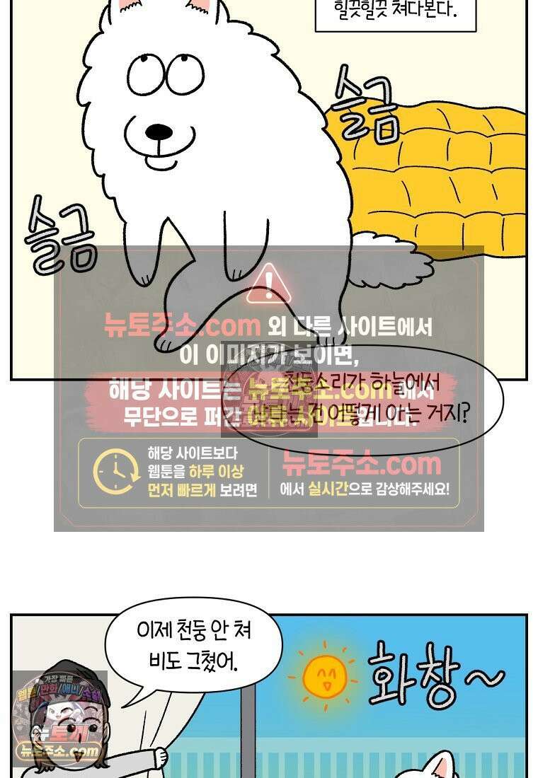 극한견주 시즌2 71화 천둥번개가 무서운 개 13