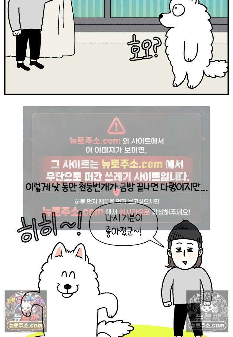 극한견주 시즌2 71화 천둥번개가 무서운 개 14
