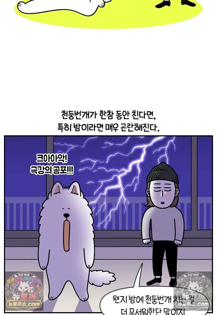 극한견주 시즌2 71화 천둥번개가 무서운 개 15