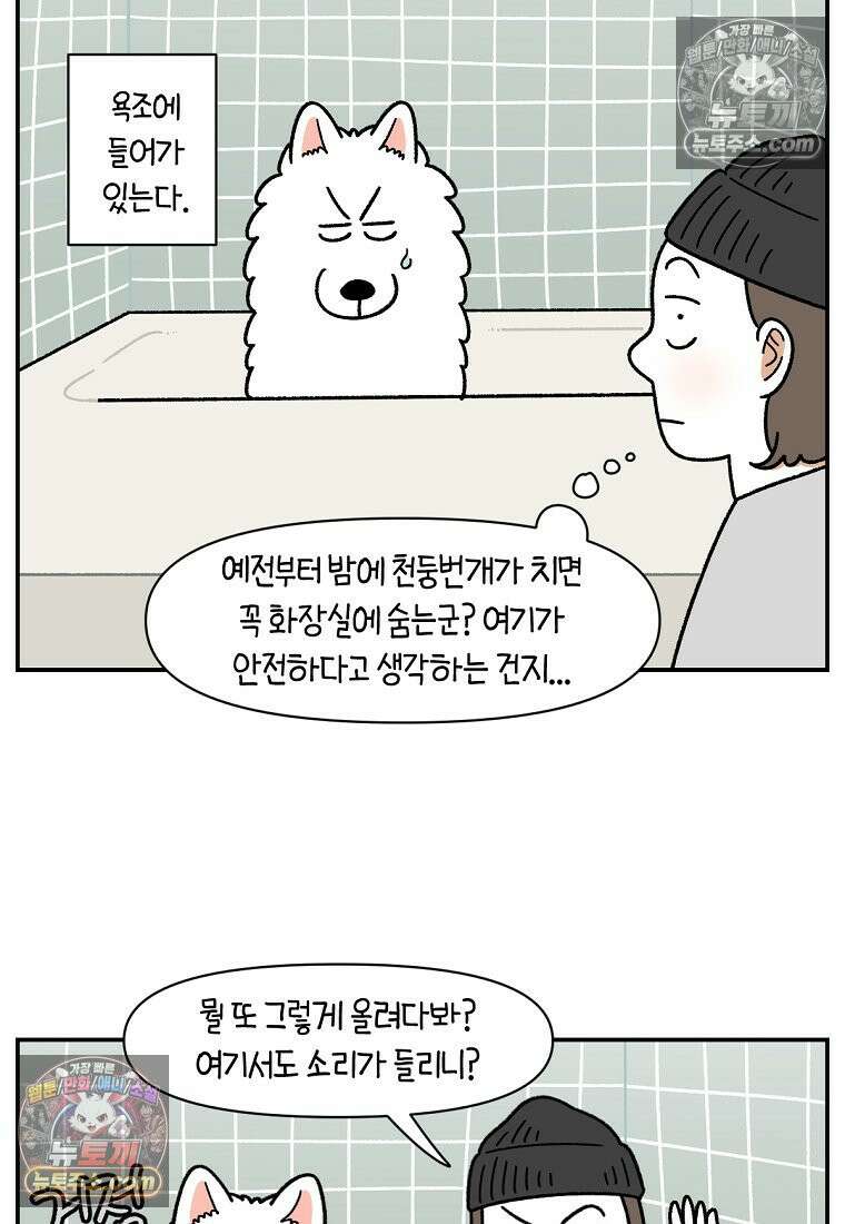 극한견주 시즌2 71화 천둥번개가 무서운 개 17