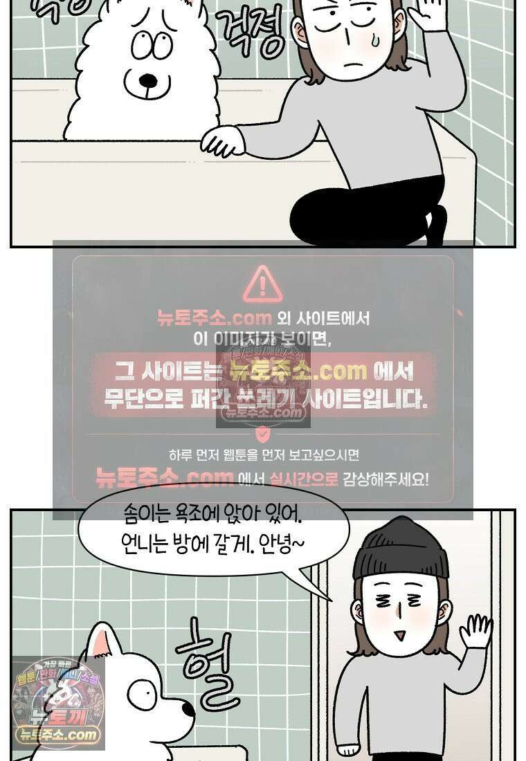 극한견주 시즌2 71화 천둥번개가 무서운 개 18