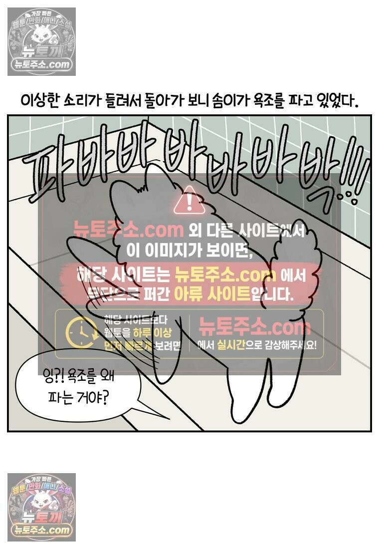 극한견주 시즌2 71화 천둥번개가 무서운 개 20