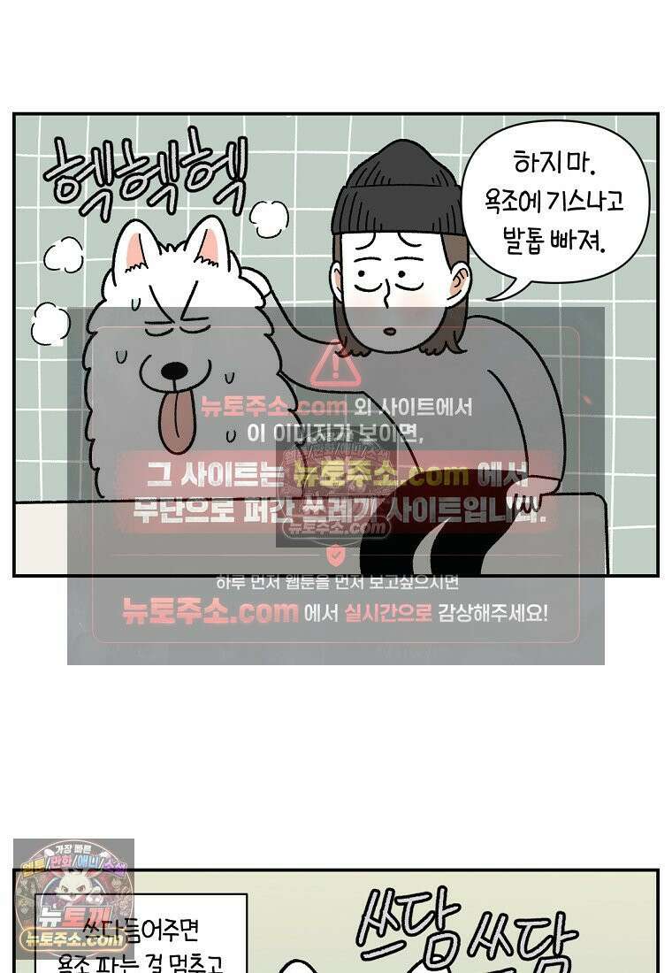 극한견주 시즌2 71화 천둥번개가 무서운 개 21