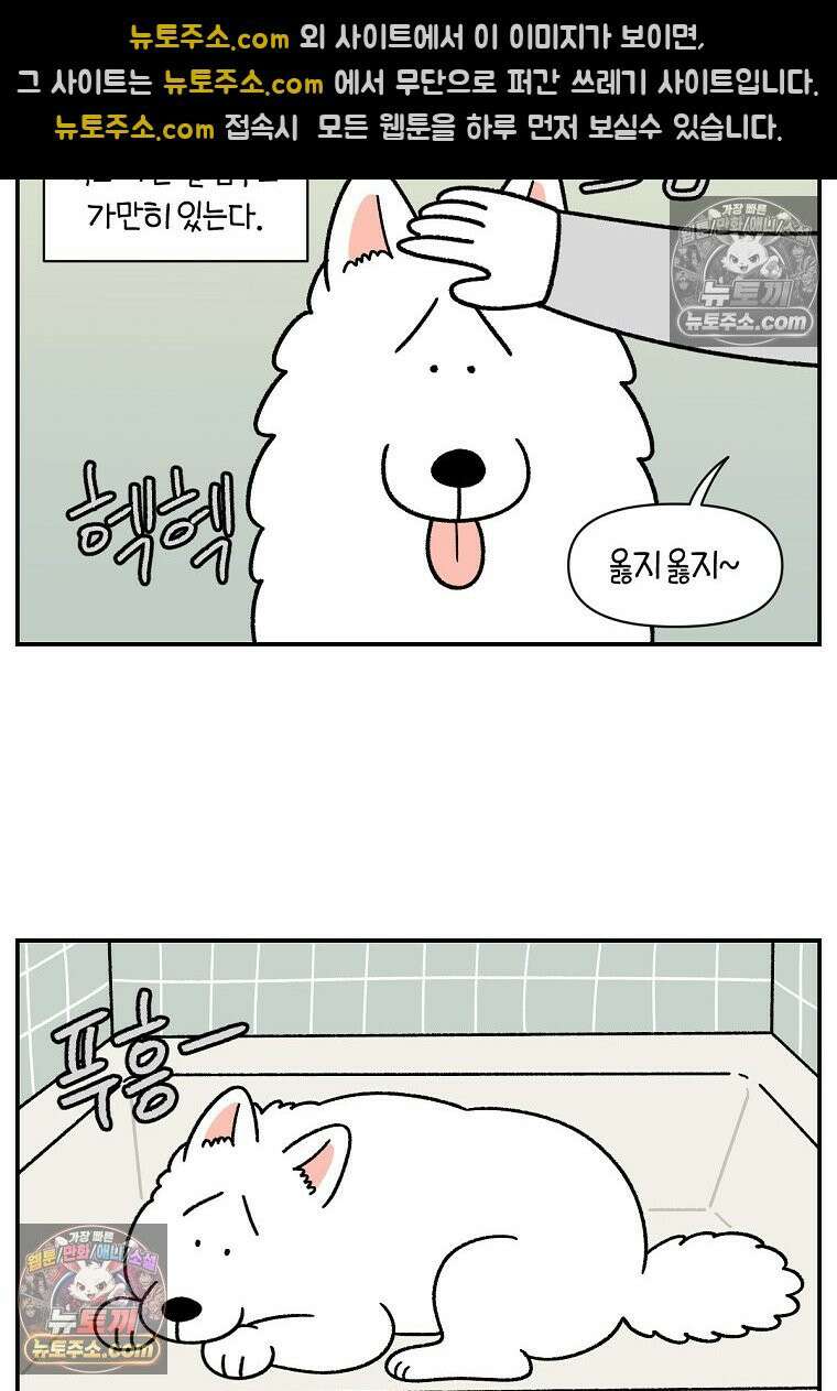 극한견주 시즌2 71화 천둥번개가 무서운 개 22