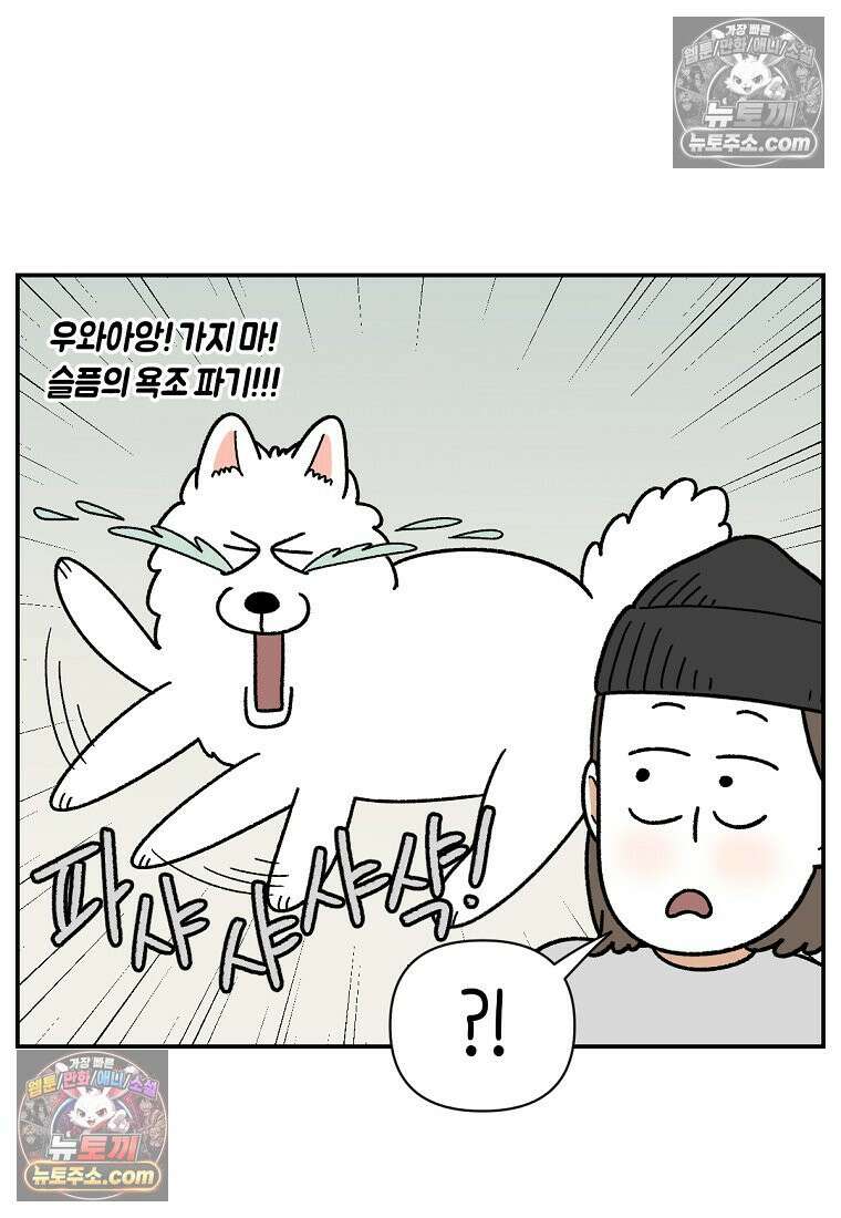 극한견주 시즌2 71화 천둥번개가 무서운 개 24