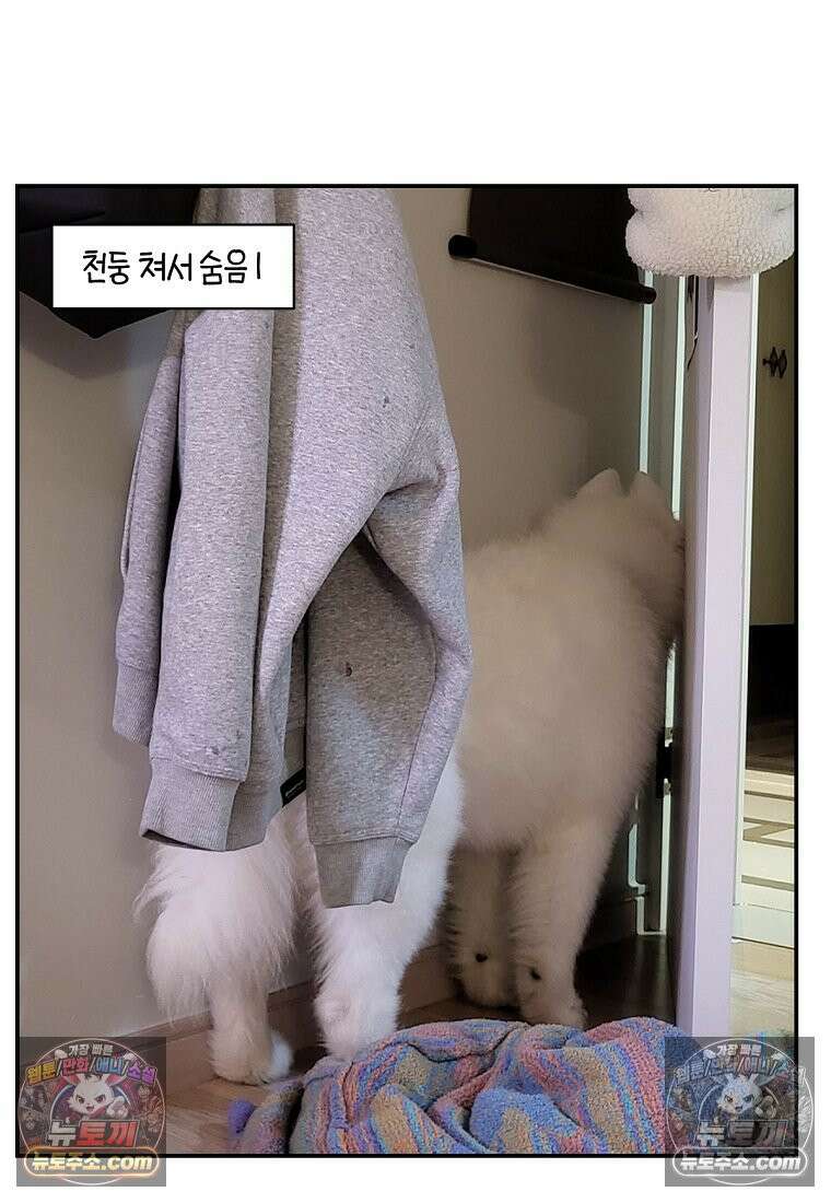 극한견주 시즌2 71화 천둥번개가 무서운 개 26