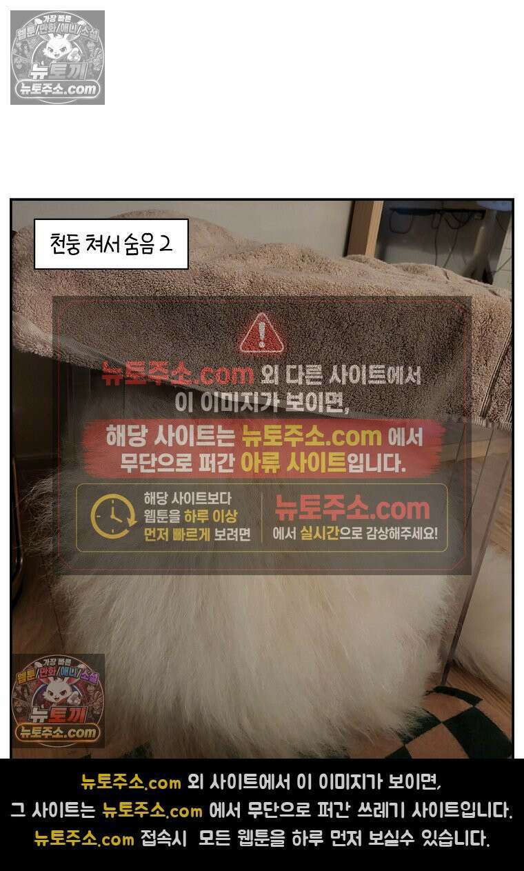극한견주 시즌2 71화 천둥번개가 무서운 개 27