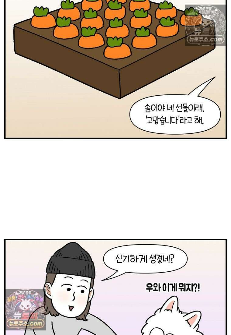 극한견주 시즌2 76화 당근 인형 3