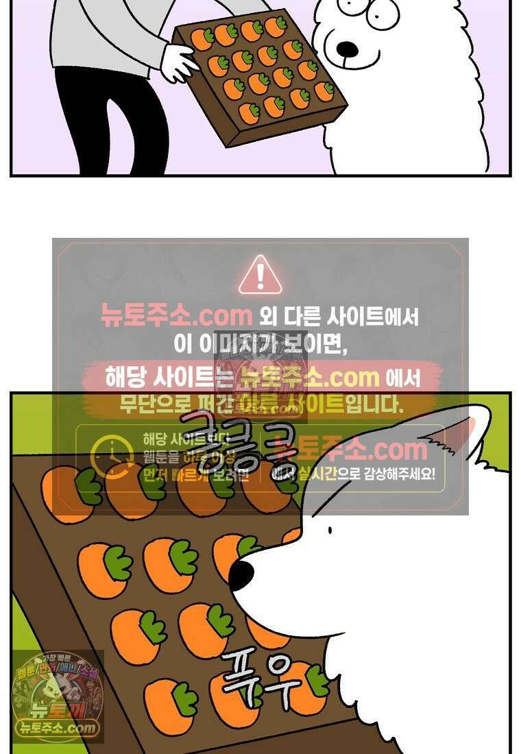 극한견주 시즌2 76화 당근 인형 4