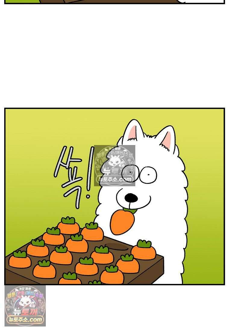 극한견주 시즌2 76화 당근 인형 5
